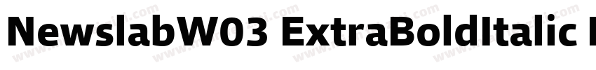 NewslabW03 ExtraBoldItalic Regular字体转换